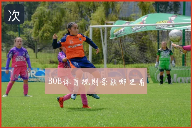 BOB体育规则条款哪里看