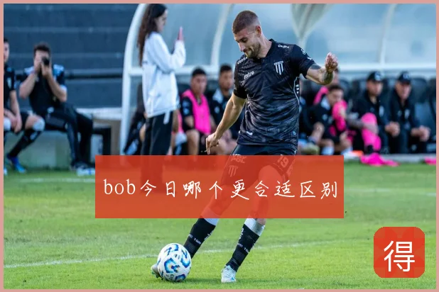 bob今日哪个更合适区别